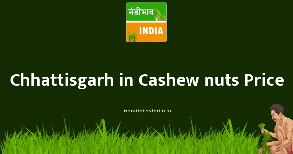 Cashew nuts भाव